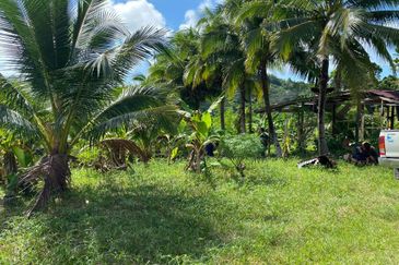 Kudat Agricultural Land for Sale  