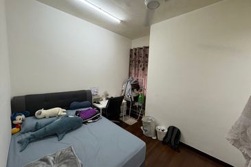 Paloma @ Tropicana Metropark