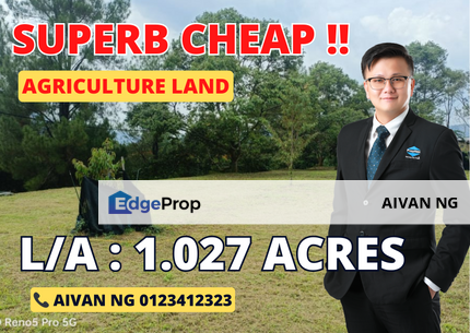 Lenggeng, Seremban, Negeri Sembilan Agriculture Land, Negeri Sembilan, Seremban