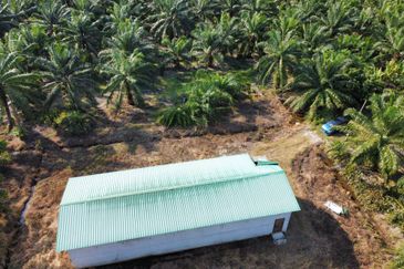Tanah Pertanian Sawit Tanjung Karang Paling Murah