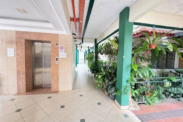 City Garden Orchid Court