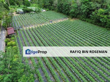 Tanah Status Pertanian Sungai Lui Hulu Langat, Selangor, Hulu Langat