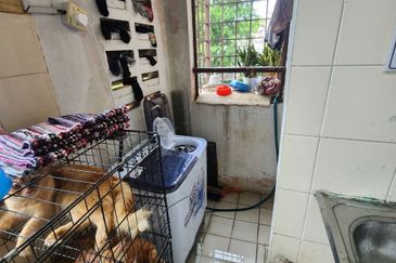 Pangsapuri Sri Shamelin