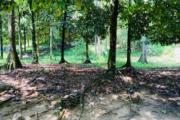 Bandar Baru Selayang