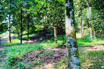 Bandar Baru Selayang