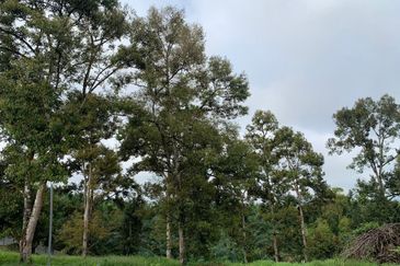 Tanah Pertanian Karak 