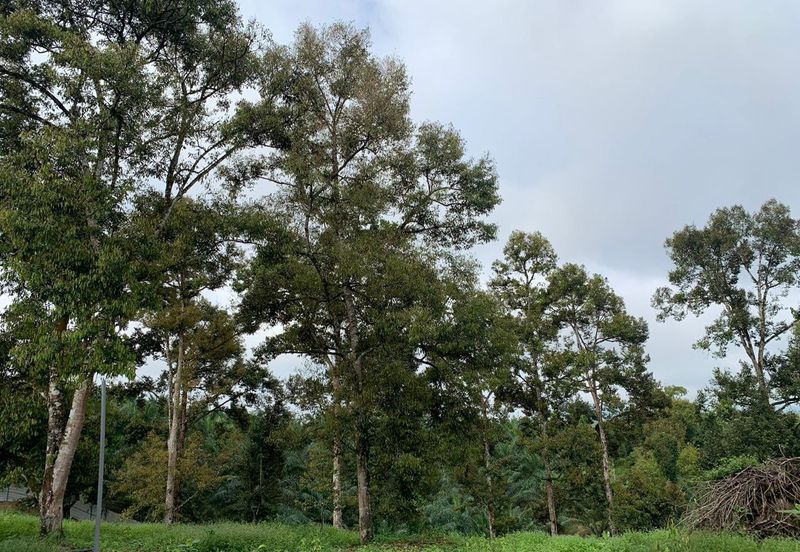 Tanah Pertanian Karak 