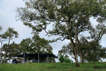 Tanah Pertanian Karak 