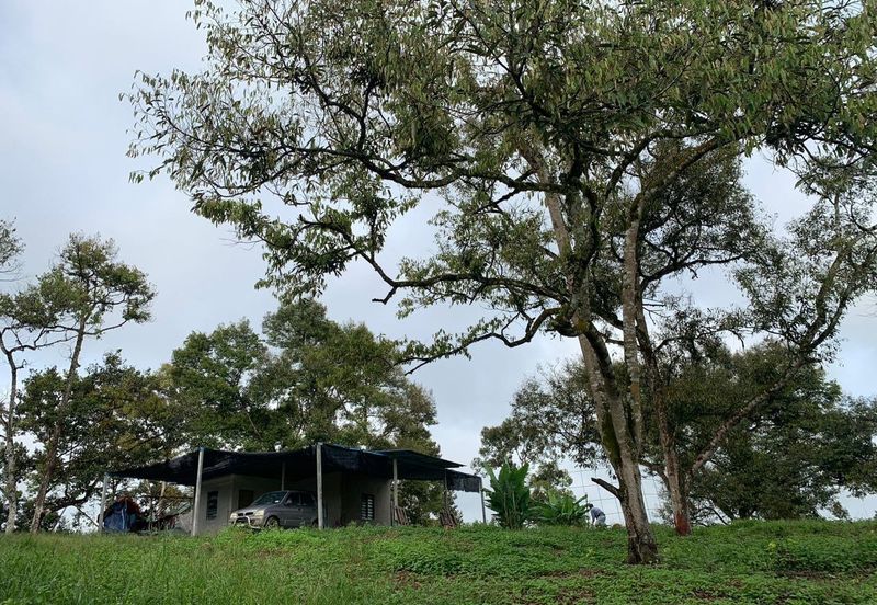 Tanah Pertanian Karak 