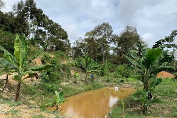 Tanah Pertanian Karak 