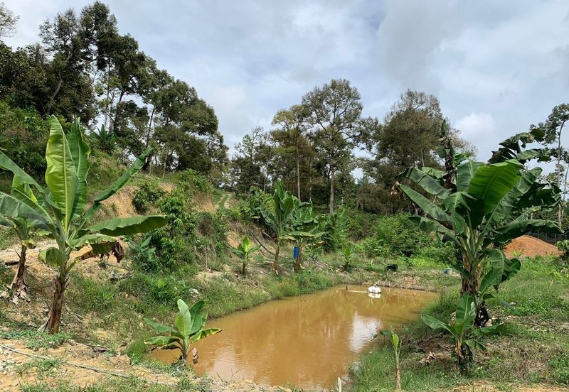 Tanah Pertanian Karak 