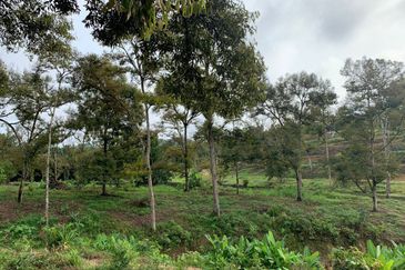 Tanah Pertanian Karak 