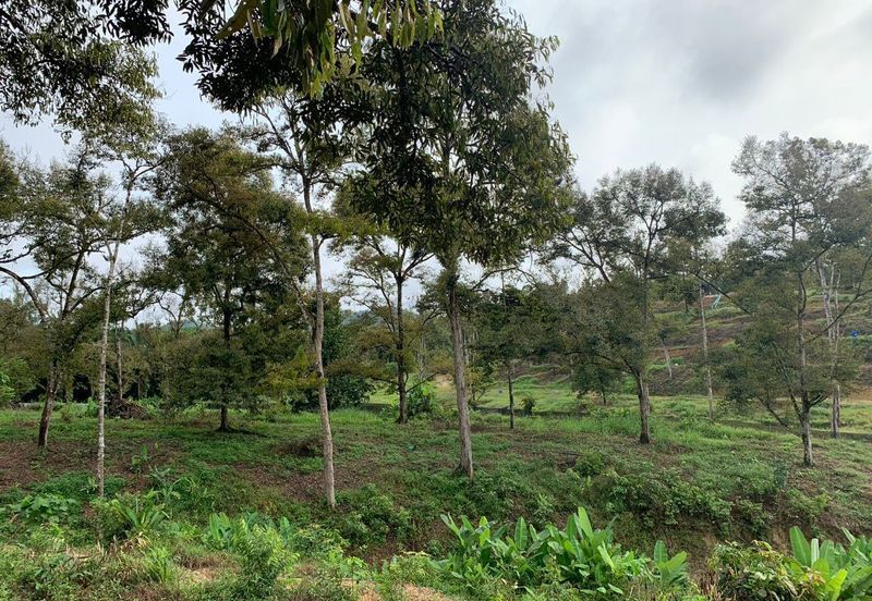 Tanah Pertanian Karak 