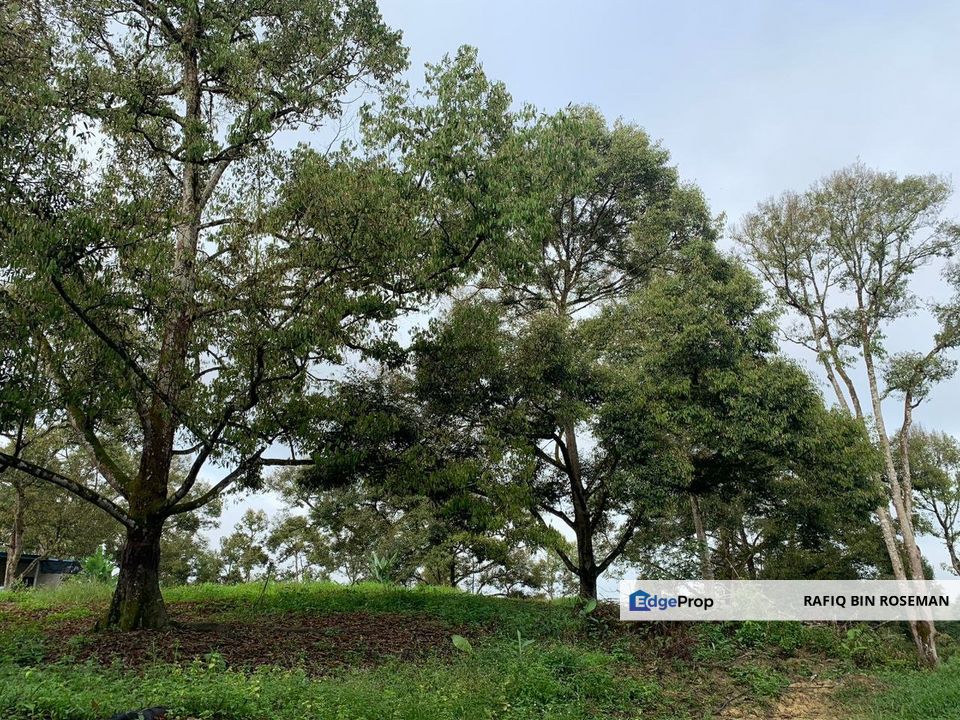 Tanah Pertanian Karak , Pahang, Bentong