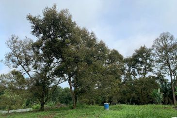 Tanah Pertanian Karak 