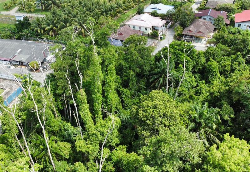 KAMPUNG TELOK MAHANG
