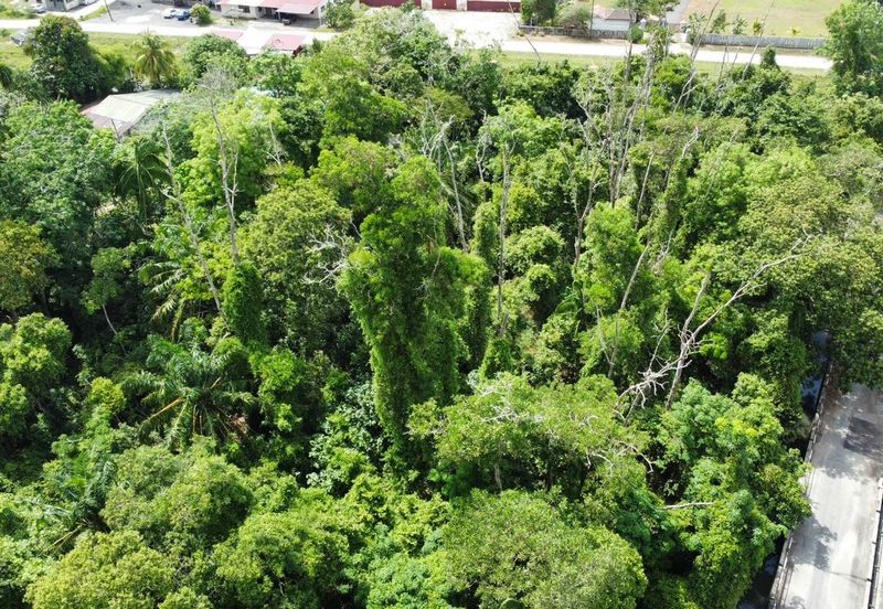 KAMPUNG TELOK MAHANG