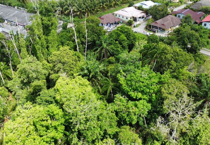 KAMPUNG TELOK MAHANG