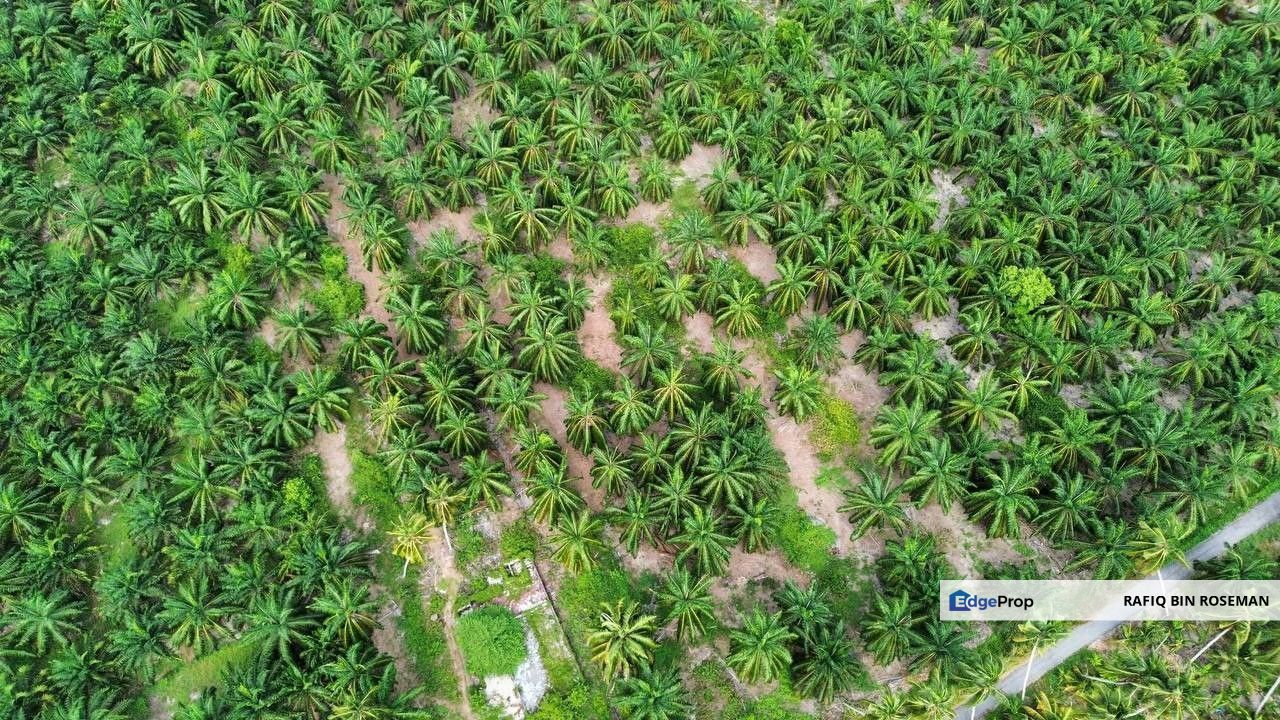 Tanah Status Pertanian Bagan Nakhoda Omar Sabak Bernam, Selangor, Sabak Bernam