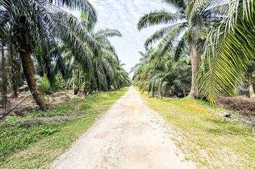 Tanah Status Pertanian Sungai Kelambu Jalan Bunga Raya 3 Banting