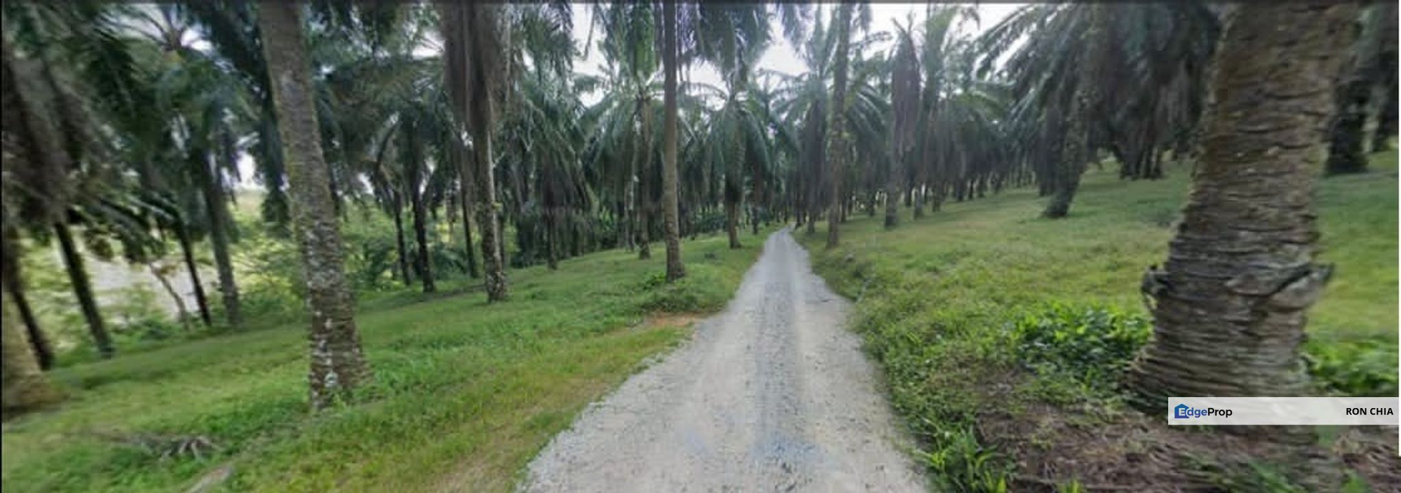 Bandar Seri Alam 33 Acres Zoning Residential Land For Sale , Johor, Johor Bahru