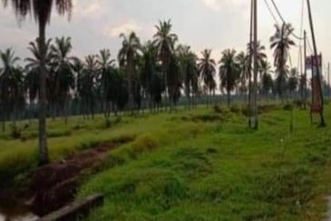 Selangor Kuala Langat Banting Beside Gold Cost Morib 2500 Acres Beach Frontage Land for SALE 🔥 