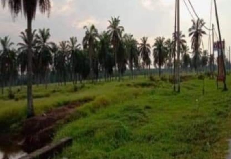 Selangor Kuala Langat Banting Beside Gold Cost Morib 2500 Acres Beach Frontage Land for SALE 🔥 