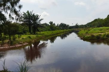 Selangor Kuala Langat Banting Beside Gold Cost Morib 2500 Acres Beach Frontage Land for SALE 🔥 