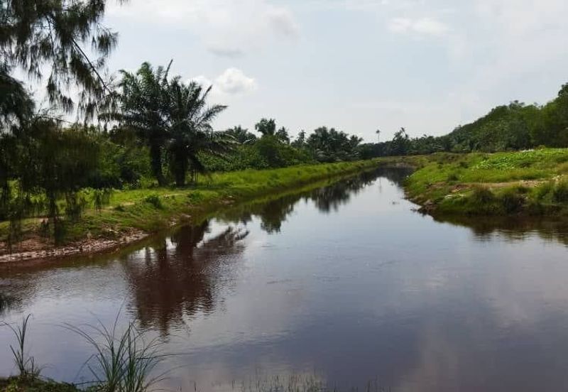 Selangor Kuala Langat Banting Beside Gold Cost Morib 2500 Acres Beach Frontage Land for SALE 🔥 