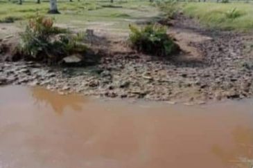 Selangor Kuala Langat Banting Beside Gold Cost Morib 2500 Acres Beach Frontage Land for SALE 🔥 