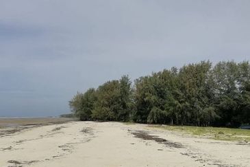 Selangor Kuala Langat Banting Beside Gold Cost Morib 2500 Acres Beach Frontage Land for SALE 🔥 