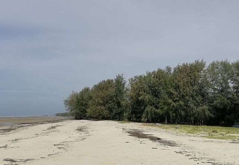 Selangor Kuala Langat Banting Beside Gold Cost Morib 2500 Acres Beach Frontage Land for SALE 🔥 