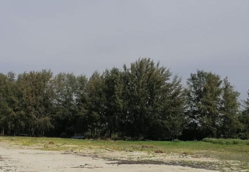 Selangor Kuala Langat Banting Beside Gold Cost Morib 2500 Acres Beach Frontage Land for SALE 🔥 