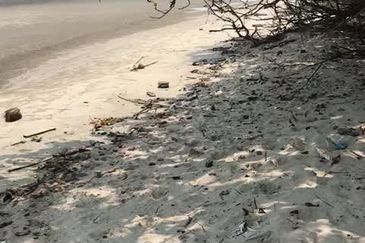 Selangor Kuala Langat Banting Beside Gold Cost Morib 2500 Acres Beach Frontage Land for SALE 🔥 