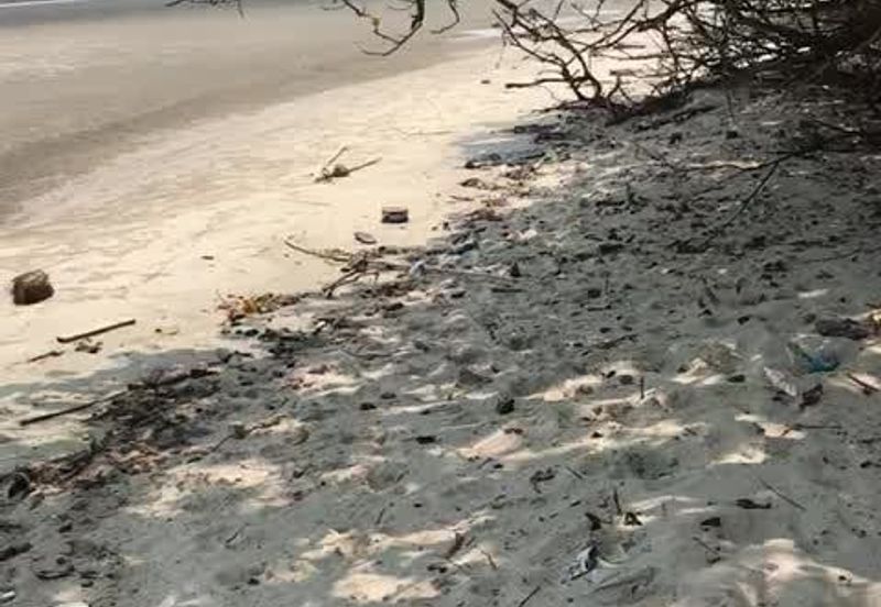 Selangor Kuala Langat Banting Beside Gold Cost Morib 2500 Acres Beach Frontage Land for SALE 🔥 