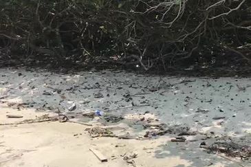 Selangor Kuala Langat Banting Beside Gold Cost Morib 2500 Acres Beach Frontage Land for SALE 🔥 