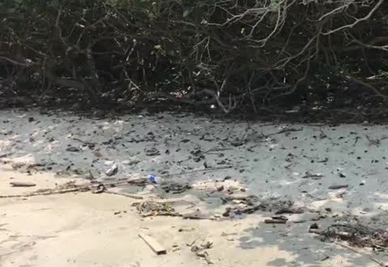 Selangor Kuala Langat Banting Beside Gold Cost Morib 2500 Acres Beach Frontage Land for SALE 🔥 