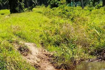 Selangor Kuala Langat Banting Beside Gold Cost Morib 2500 Acres Beach Frontage Land for SALE 🔥 