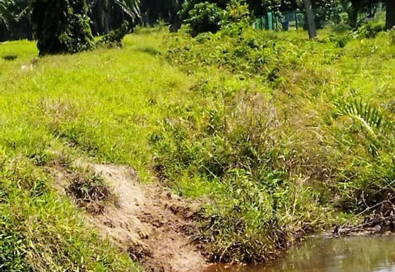 Selangor Kuala Langat Banting Beside Gold Cost Morib 2500 Acres Beach Frontage Land for SALE 🔥 