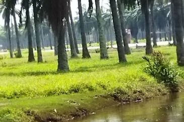 Selangor Kuala Langat Banting Beside Gold Cost Morib 2500 Acres Beach Frontage Land for SALE 🔥 