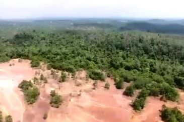 Negeri Sembilan Tampin Gemas 123 Acres Flat Empty Land for SALE🔥