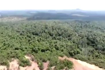 Negeri Sembilan Tampin Gemas 123 Acres Flat Empty Land for SALE🔥