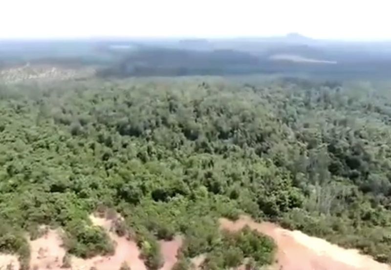 Negeri Sembilan Tampin Gemas 123 Acres Flat Empty Land for SALE🔥