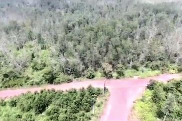 Negeri Sembilan Tampin Gemas 123 Acres Flat Empty Land for SALE🔥