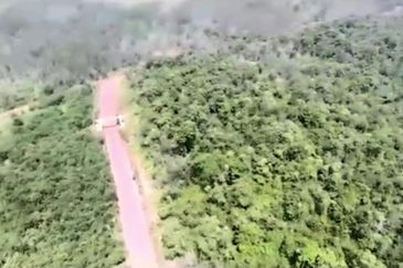 Negeri Sembilan Tampin Gemas 123 Acres Flat Empty Land for SALE🔥