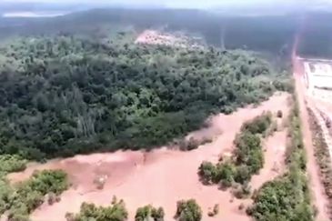 Negeri Sembilan Tampin Gemas 123 Acres Flat Empty Land for SALE🔥