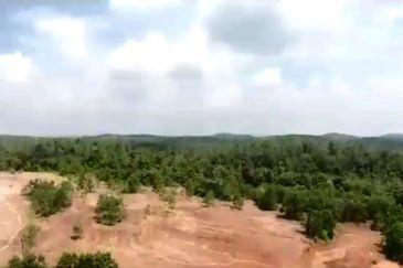 Negeri Sembilan Tampin Gemas 123 Acres Flat Empty Land for SALE🔥