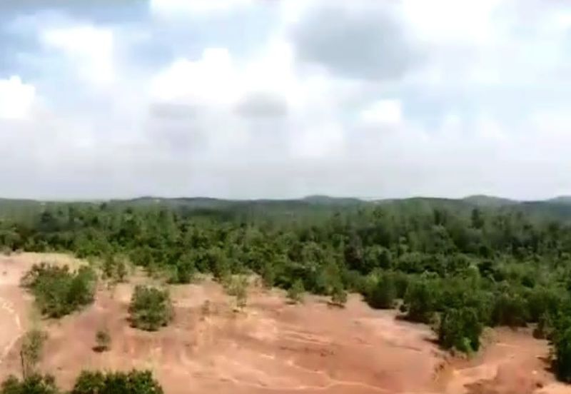 Negeri Sembilan Tampin Gemas 123 Acres Flat Empty Land for SALE🔥