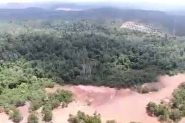 Negeri Sembilan Tampin Gemas 123 Acres Flat Empty Land for SALE🔥