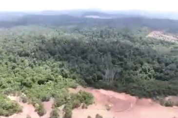 Negeri Sembilan Tampin Gemas 123 Acres Flat Empty Land for SALE🔥